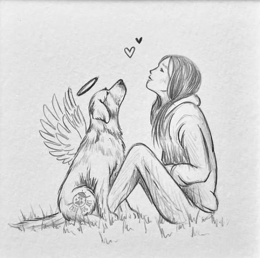 Qué hacer cuando tu mascota fallece: opciones y pasos prácticos en Argentina