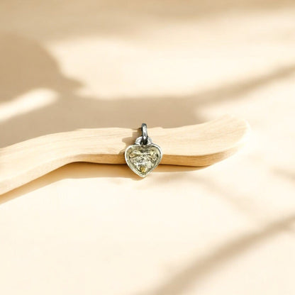 Dije Zibal Plata 925